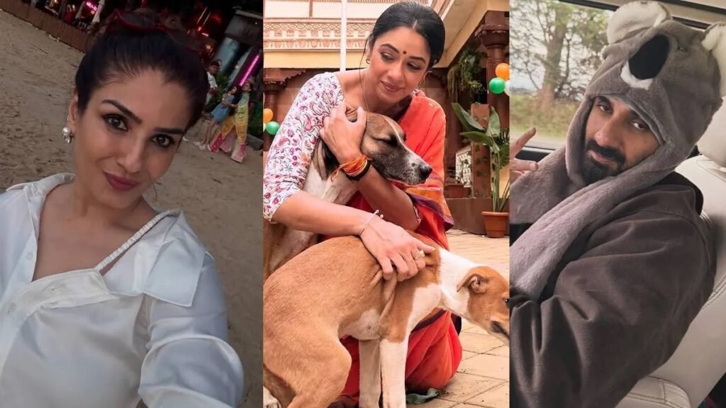 ‘डोगेश भाई तुम आगे बढ़ो…’ आवारा कुत्तों पर सुप्रीम कोर्ट के फैसले पर झूमे सेलेब्स, रवीना ने भी जताई खुशी