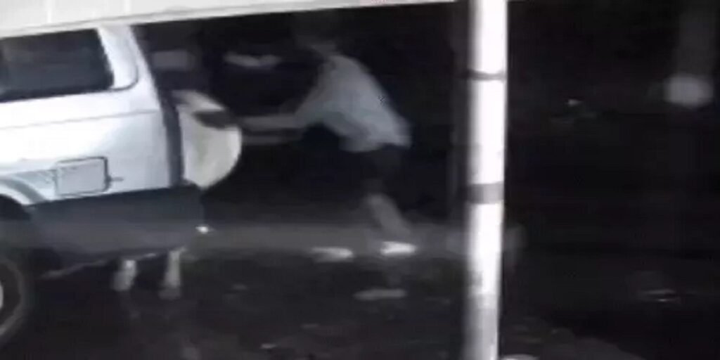 गायों की चोरी वो भी कार से, CCTV फुटेज में वारदात कैद