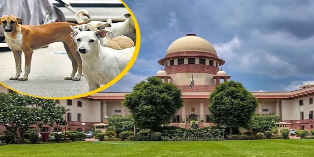 क्या बदलेगा ‘सुप्रीम’ फैसला? आवारा कुत्तों के मामले में सुप्रीम कोर्ट की नई बेंच आज करेगी सुनवाई
