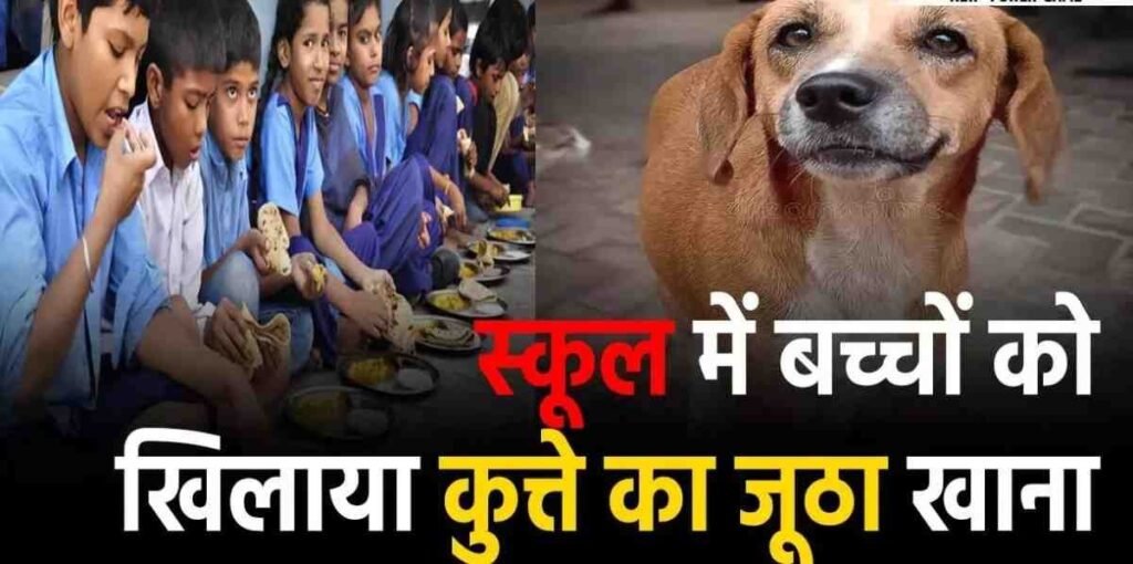 सरकारी स्कूल में बच्चों को कुत्ते का जूठा भोजन परोसने पर हाईकोर्ट सख्त, कहा- यह जान से खिलवाड़