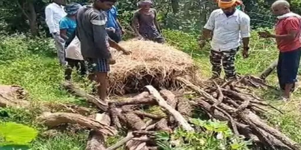 गर्भवती हिरणी की मौत, वन विभाग जांच में जुटी